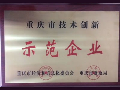 市技術(shù)創(chuàng)新示范企業(yè)證書